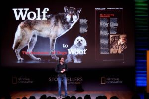 1200 x 800-1-CM-Ronan