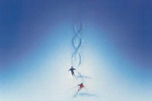 Aspen Extreme 1200 x 800