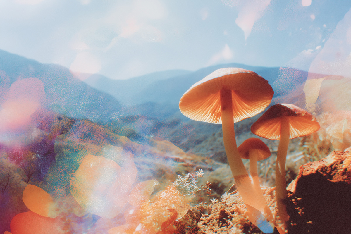 Aspen Psychedlic Symposium 1200 x 800