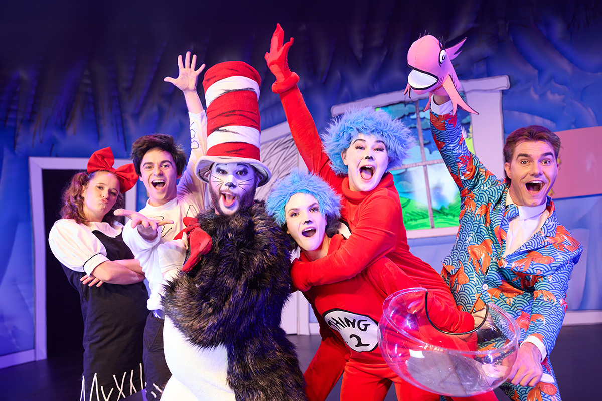 Cat in the Hat 1200 x 800
