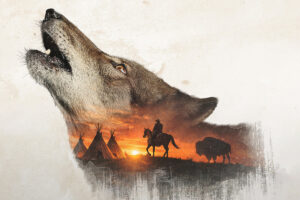 In the Company of Wolves 1200 x 800